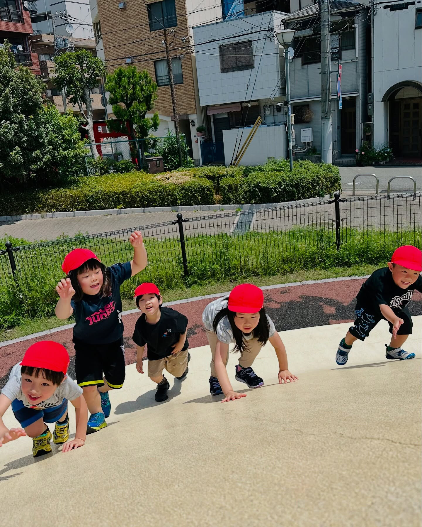 6月になりました！🐸
