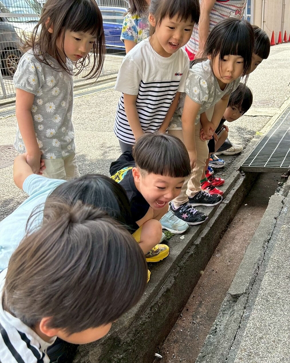 6月になりました！🐸