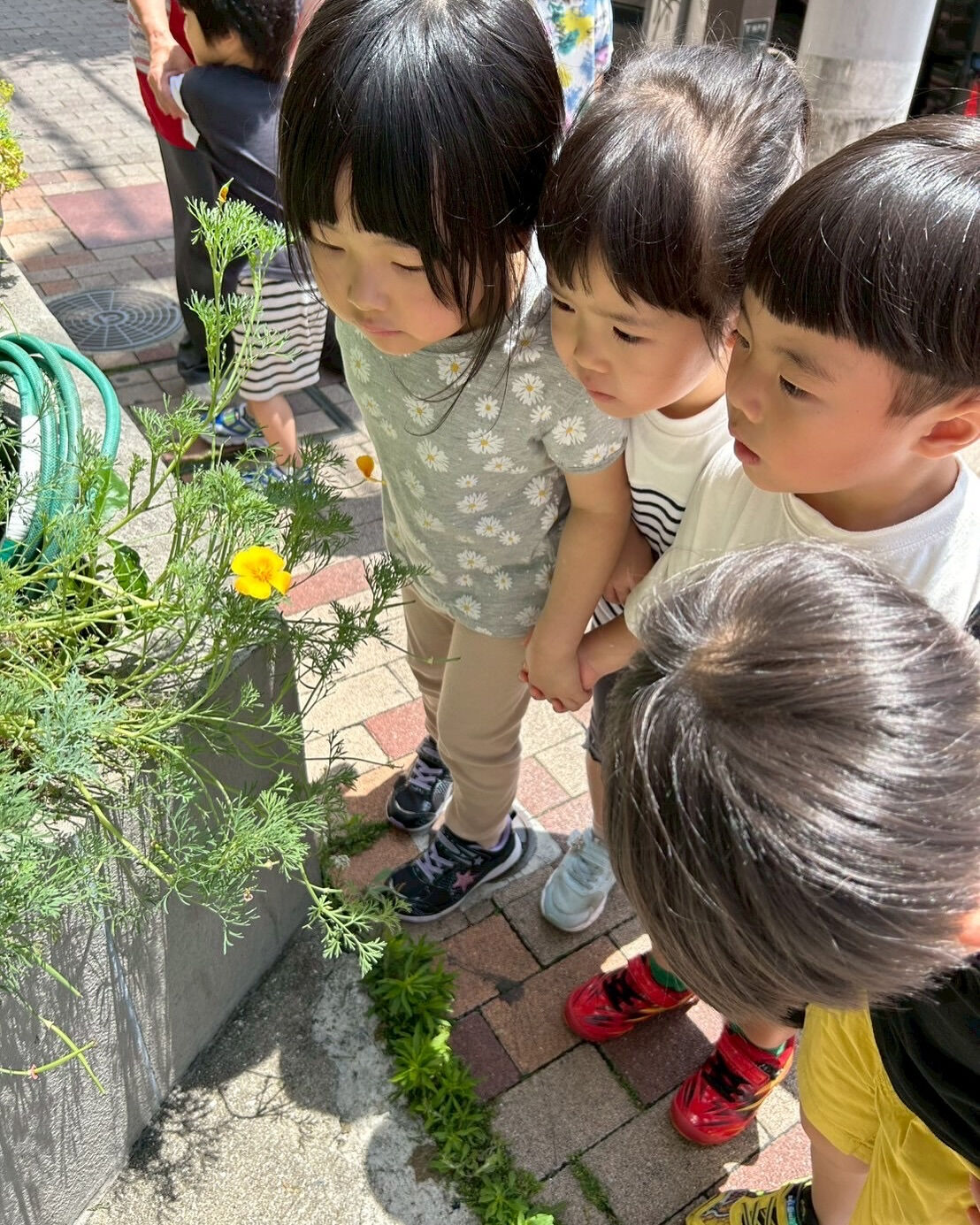 6月になりました！🐸